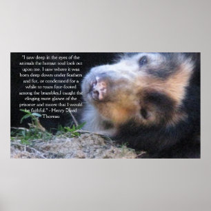 ヘンリー・デイヴィッド・ソロー動物愛護権引用文 ポスター