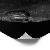 ヘンリー・ハーバート・ダゲレオタイプ1855年 ポスター (角)