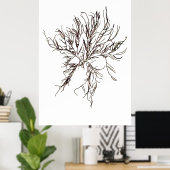 ヘンリー・ブラッドベリーの押し海藻10の6番目 ポスター (ホームオフィス)