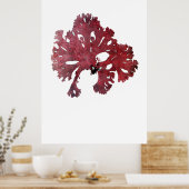 ヘンリー・ブラッドベリーの押し海藻10の7番目 ポスター (キッチン)