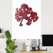 ヘンリー・ブラッドベリーの押し海藻10の7番目 ポスター (ホームオフィス)