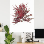 ヘンリー・ブラッドベリーの押し海藻10の8分の1 ポスター (ホームオフィス)