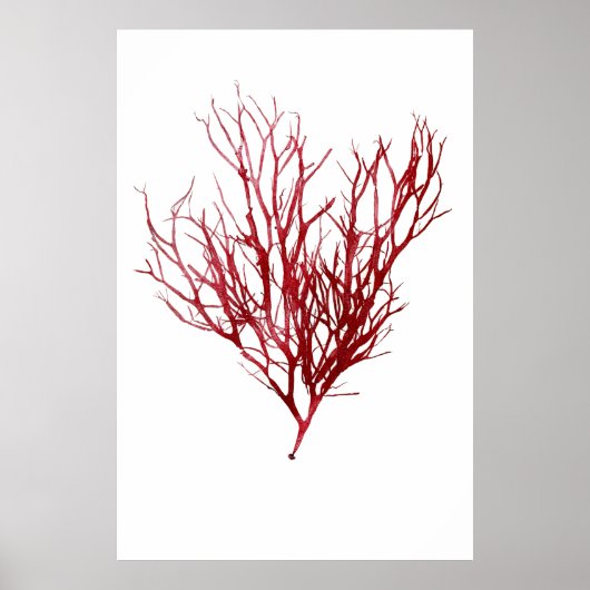 ヘンリー・ブラッドベリーの押し海藻10の9番目 ポスター (正面)