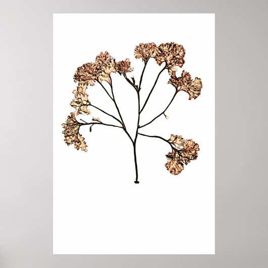 ヘンリー・ブラッドベリーの押し海藻10分の1 ポスター (正面)