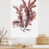 ヘンリー・ブラッドベリーの10個目の押し海藻 ポスター (キッチン)