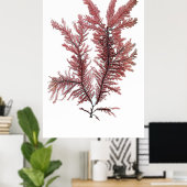 ヘンリー・ブラッドベリーの10個目の押し海藻 ポスター (ホームオフィス)