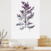 ヘンリー・ブラッドベリーの10分の5番目の押し海藻 ポスター (キッチン)