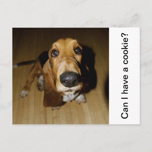 ヘンリー・ロングフェロー ポストカード (正面)