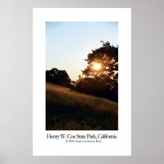 ヘンリーW.コー州パーク，カリフォルニア ポスター