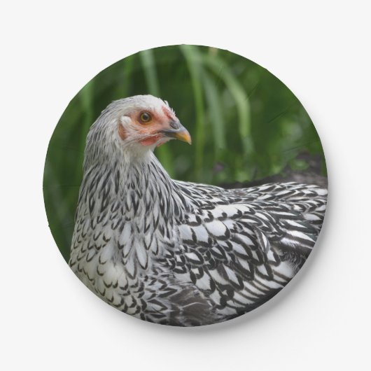 ヘン紙プレート ペーパープレート (正面)