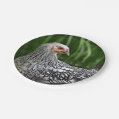 ヘン紙プレート ペーパープレート (アングル)