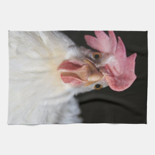 ヘン キッチンタオル (横)