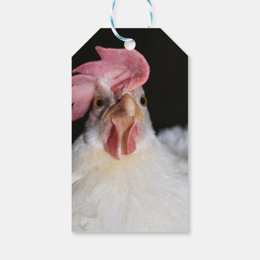 ヘン ギフトタグ (裏面)