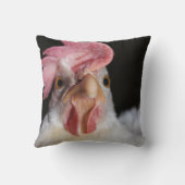 ヘン クッション (裏面)