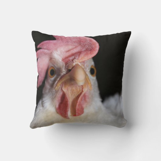 ヘン クッション (裏面)