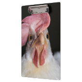 ヘン クリップボード (左)