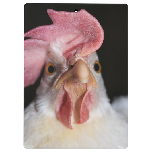 ヘン クリップボード (裏面)