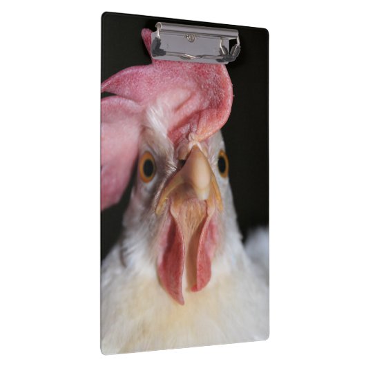 ヘン クリップボード (右)