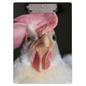 ヘン クリップボード (正面)