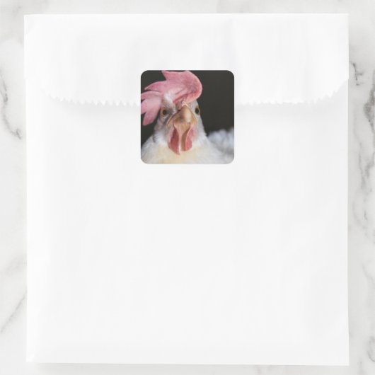 ヘン スクエアシール (バッグ)