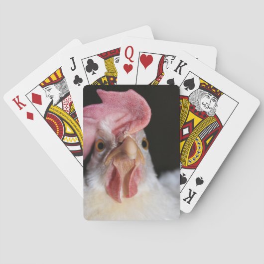 ヘン トランプ (裏面)