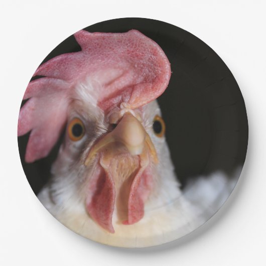 ヘン ペーパープレート (正面)