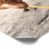 ヘン ポスター (角)