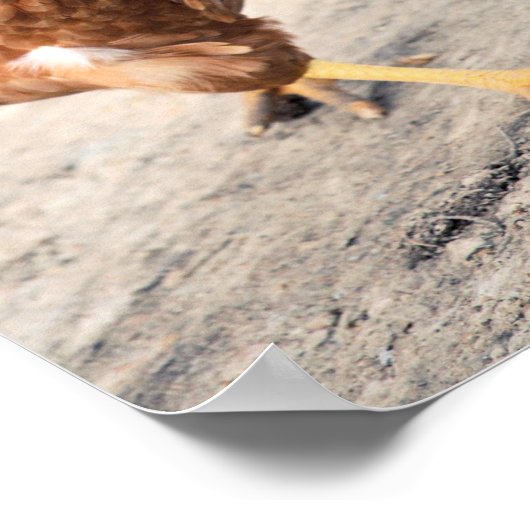 ヘン ポスター (角)