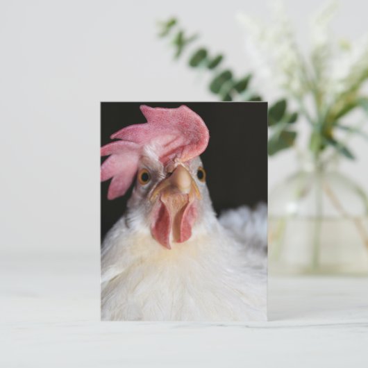 ヘン ポストカード (スタンド正面)