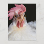 ヘン ポストカード (正面)