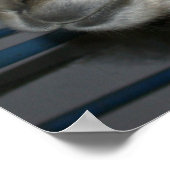 ヘーおもしろいドオンラマ ポスター (角)