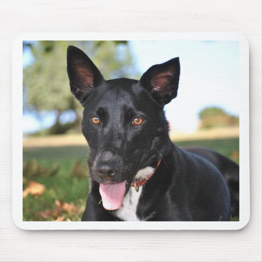 ヘーゼルアイの美しい犬 マウスパッド (正面)
