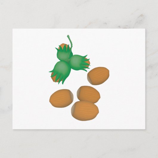 ヘーゼルナッツ ポストカード (正面)