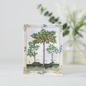 ヘーゼルナットブッシュとさくらんぼツリー ポストカード (スタンド正面)