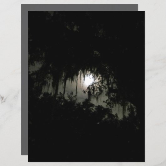 ヘーティングダークナイトスクレーブック紙 (正面/裏面)