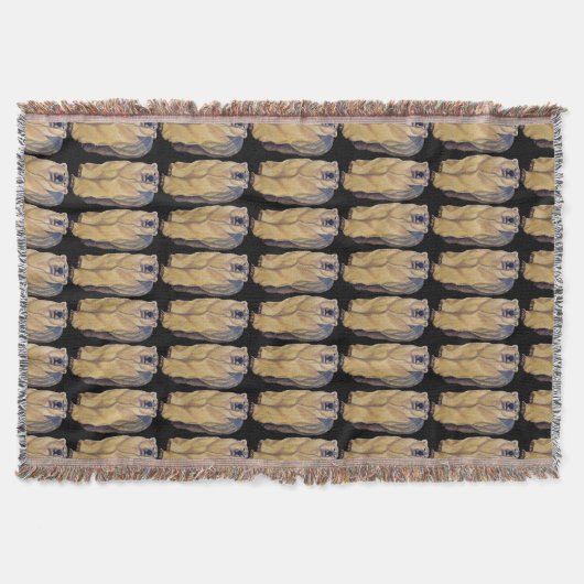 ベアアートブランケットポーラベアアートブランケット スローブランケット (正面)