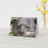 ベアキャットグリーティングカード カード (黄色い花)