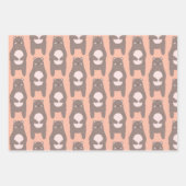 ベアキャンプ用ラッピングシート ラッピングペーパーシート (正面)