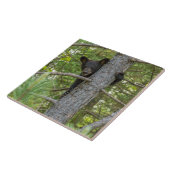 ベアキュブ登山ツリー タイル (側面)