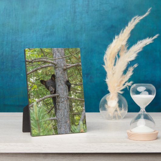 ベアキュブ登山ツリー フォトプラーク (側面)