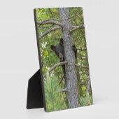 ベアキュブ登山ツリー フォトプラーク (側面)