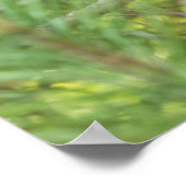 ベアキュブ登山ツリー ポスター (角)