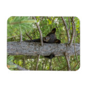 ベアキュブ登山ツリー マグネット (横)