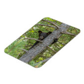 ベアキュブ登山ツリー マグネット (左側)