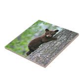 ベアキュブ登山Aツリー タイル (側面)