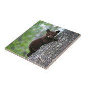 ベアキュブ登山Aツリー タイル (側面)