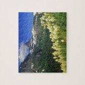 ベアグラスアットローガンパスイングラシア国立公園 ジグソーパズル (縦)