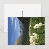 ベアグラスグレイシャーナショナルパークポストカード ポストカード (正面/裏面)