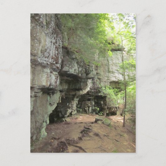 ベアシェバスプリングス ポストカード (正面)