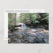 ベアシェバ春はがき ポストカード (正面/裏面)